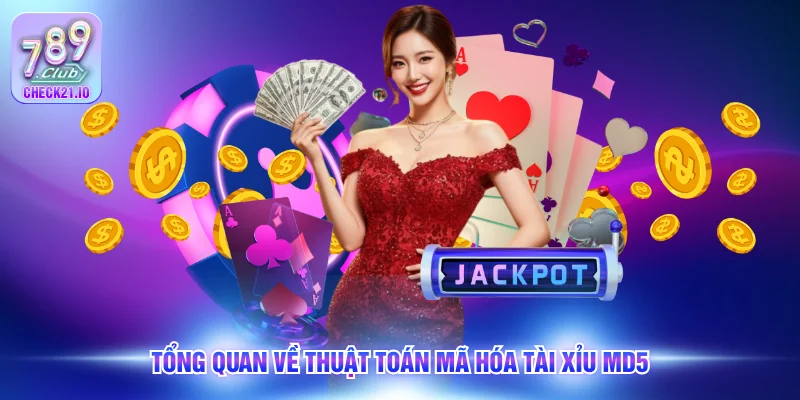 Tổng quan về thuật toán mã hóa tài xỉu MD5